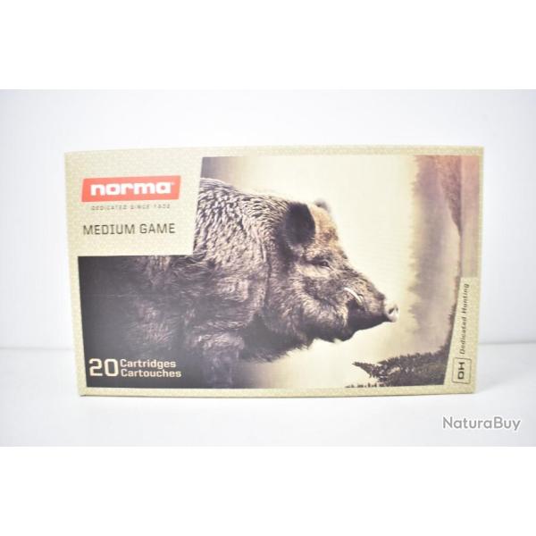 1 boite de Balles Norma PPDC Calibre 30-06 180GR