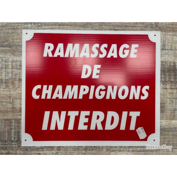 PANCARTE  RAMASSAGE DE CHAMPIGNON INTERDIT