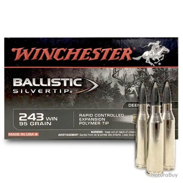 Munitions WINCHESTER calibre 243 Win Ballistic Silvertip 95gr - 6.2g x20