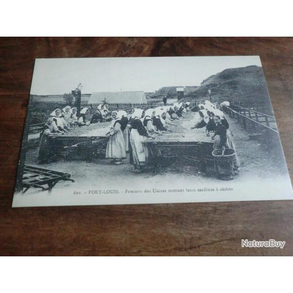 cp 56  usines sardines a s�cher