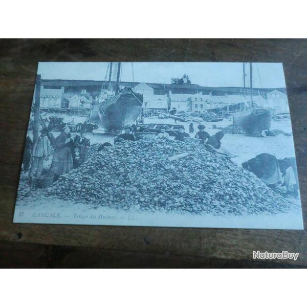 cp cancale triages des huitres