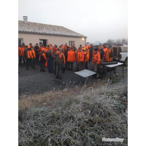 Action chasse sanglier dans  herault