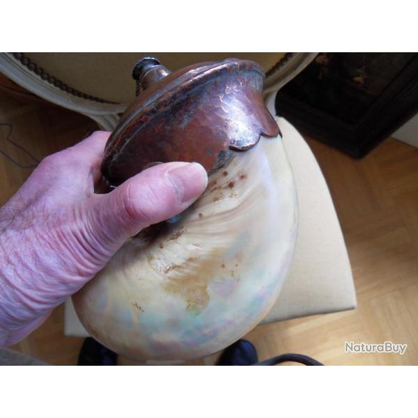 MAGNIFIQUE  POIRE A POUDRE