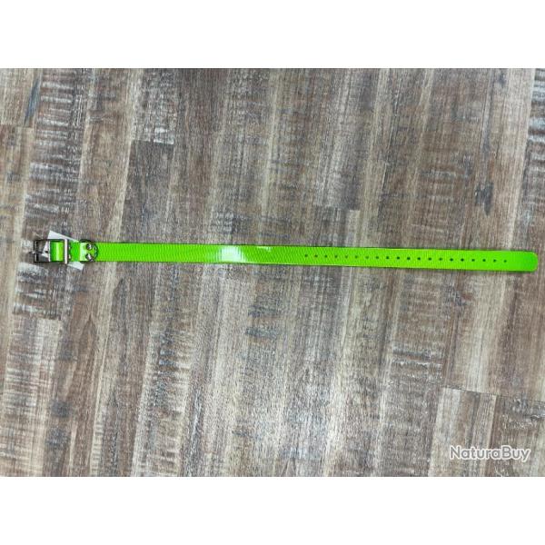 COLLIER  POUR CHIEN VERT