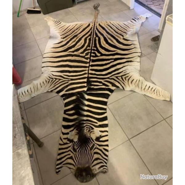 Tapis peau de zbre
