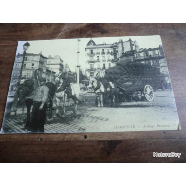 cp 13 attelage proven�al