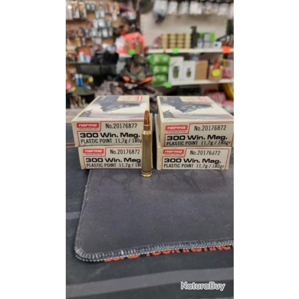 1 btes Balles norma 300 win mag ppdc 180gr