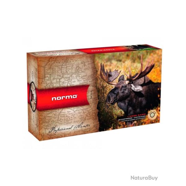 20 CARTOUCHES NORMA 30-06 180GR PLASTIC POINT
