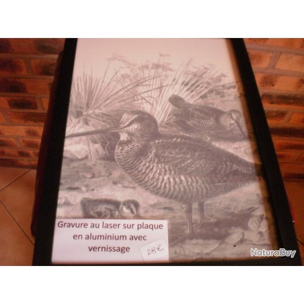 cadre - d�coration nature b�casse