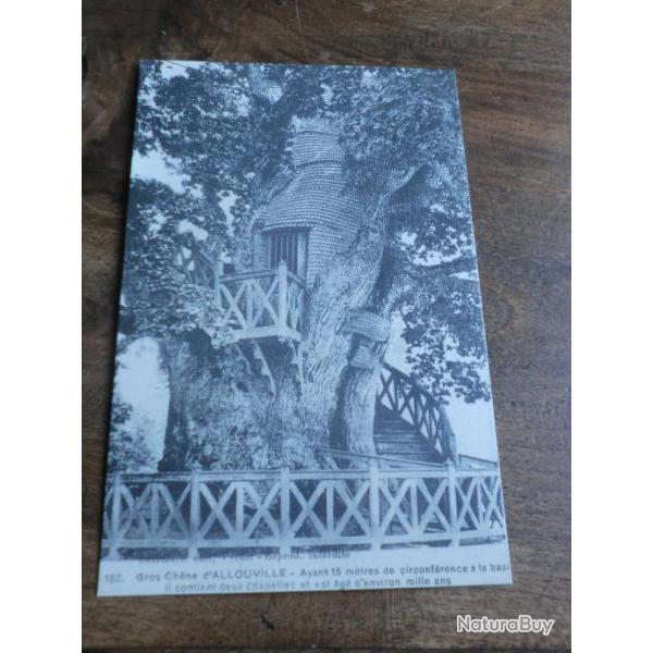 cp normandie gros chene d allouville