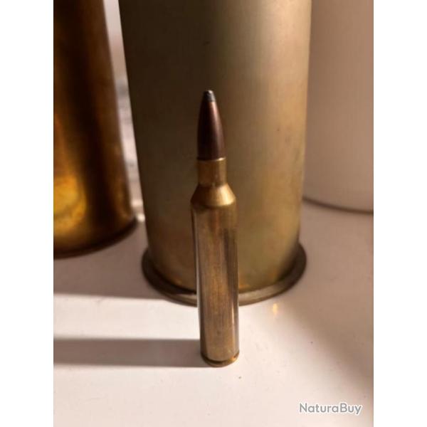 Vend Une tr�s rare cartouche 300 Pegasus.