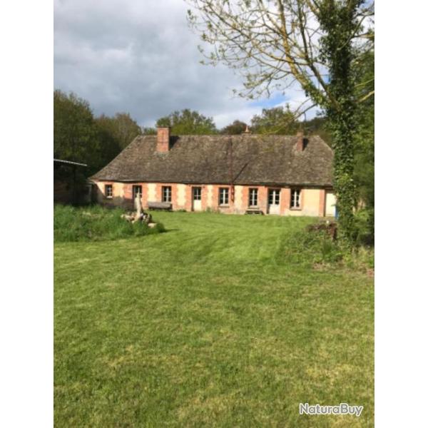 Action de chasse petit et grand gibier disponibles dans le Vexin pr�s de Gisors.