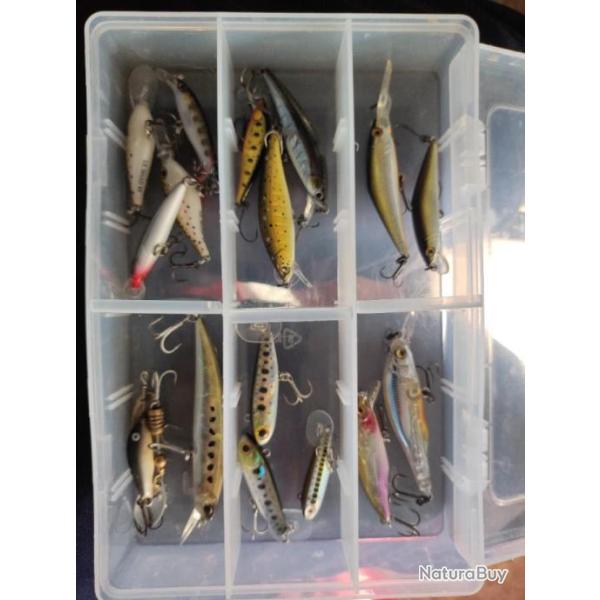 Lot truites haut de gamme