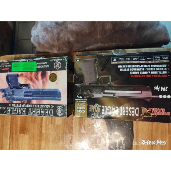 lot de deux desert eagle