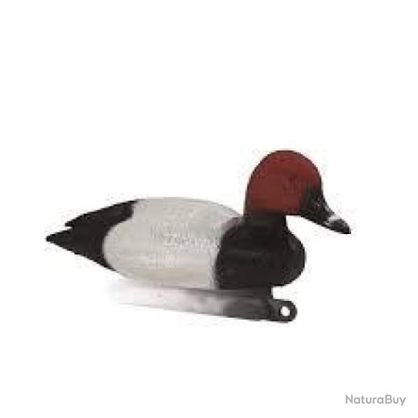 DC 25 ! Appelant milouin male Stepland Par 1