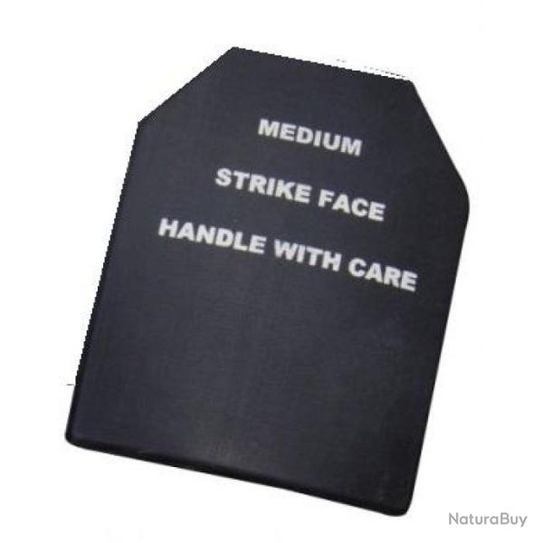 DT 25 ! Plaque SAPI Smart Team