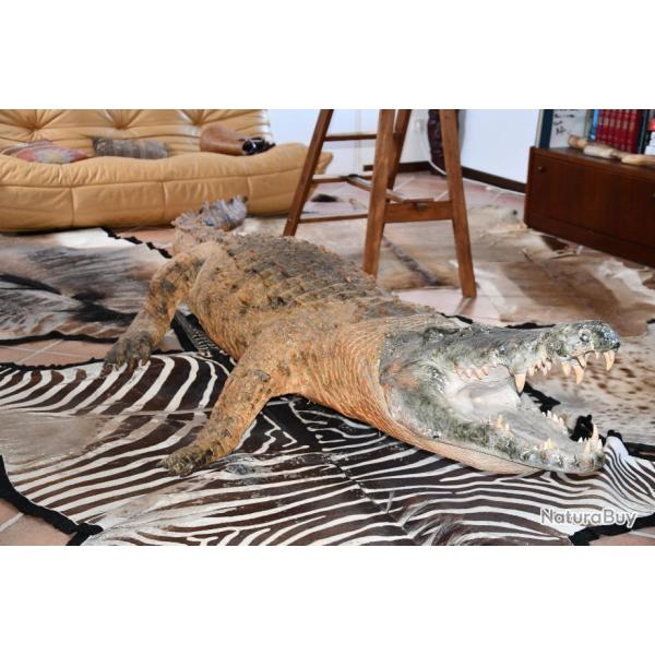 Vente de troph�es � choisir parmi 48