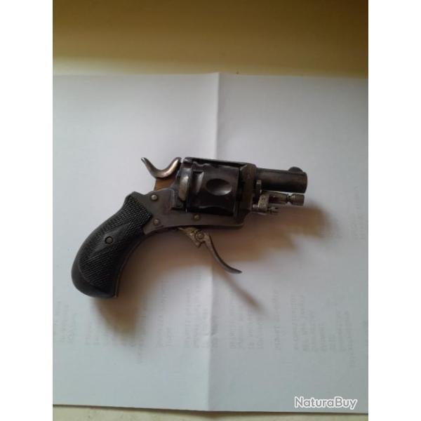 velodog  stetienne en calibre 320