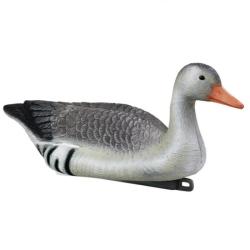 DC 25 ! Appelant Stepland Oie cendr&eacute;e