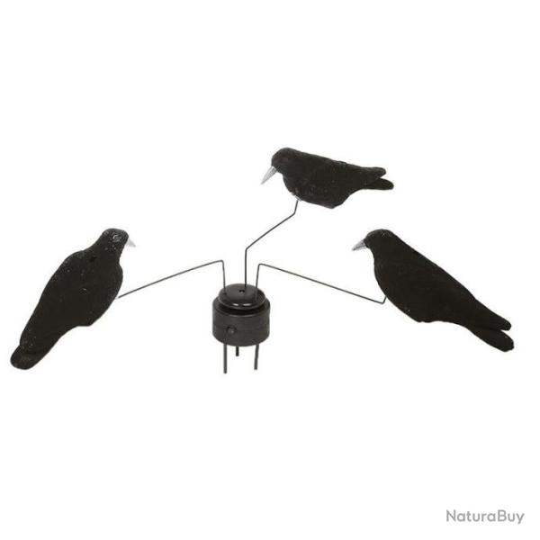 Man�ge � Corbeaux Stepland