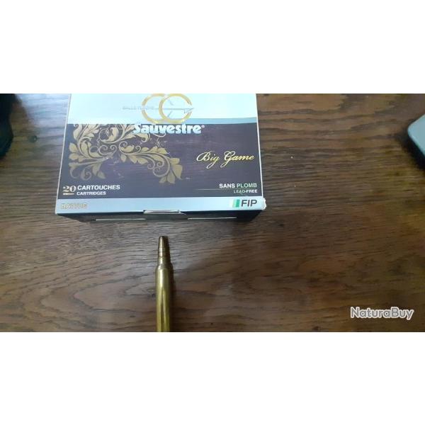300 WIN MAG FIP BATTUE SANS PLOMB