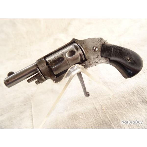 P16X  lot  bulldog , v�lodog   cal 6 mms v�lodog ,,  assez bon �tat , a nettoyer