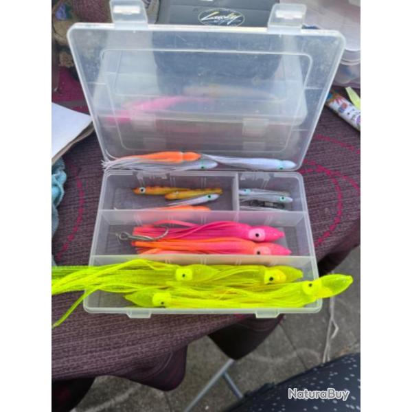 16 calamars de peche , divers tailles et couleur