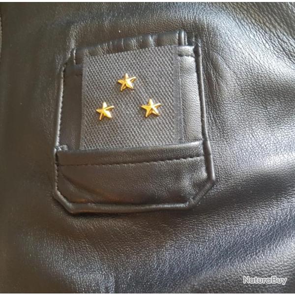 Galon de poitrine Officier G�n�ral Arm�e de l'air. 2