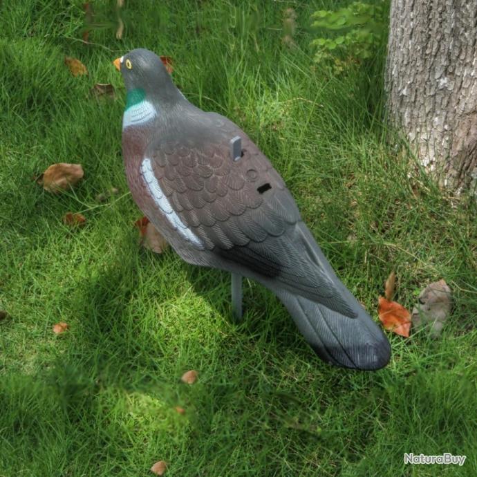 Leurres Pigeons Réalistes Demi-coquille - Pack De 6, 40.6cm, Avec Piquets, Pour Chasse Et Effarouchement