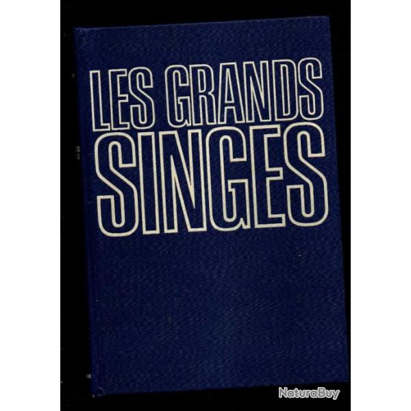 les grands singes de christian zuber s�rie cam�ra au poing