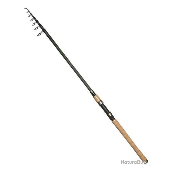 ARCA CANNE PIKE CATCH 300H - TELE 3,00M ARCA T�l�scopique