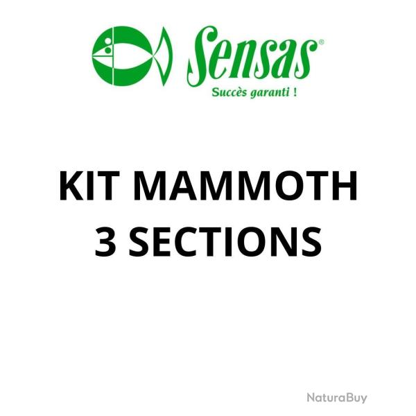 SENSAS KIT MAMMOTH 3 BRINS SENSAS