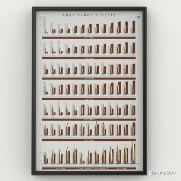 Poster / affiche Long Range Bullets