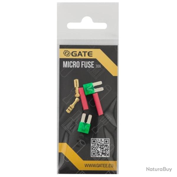 DT 25 ! Lot de 2 micro fusibles - GATE Default Title