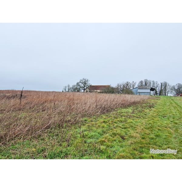 Propri�t� de Chasse & d'Agr�ment 46 hectares en Indre-et-Loire DF-301-A