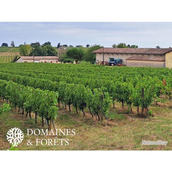 Propri�t� viticole, Maison et G�te - Zone AOC Bordeaux 27 Ha DF-1009-A