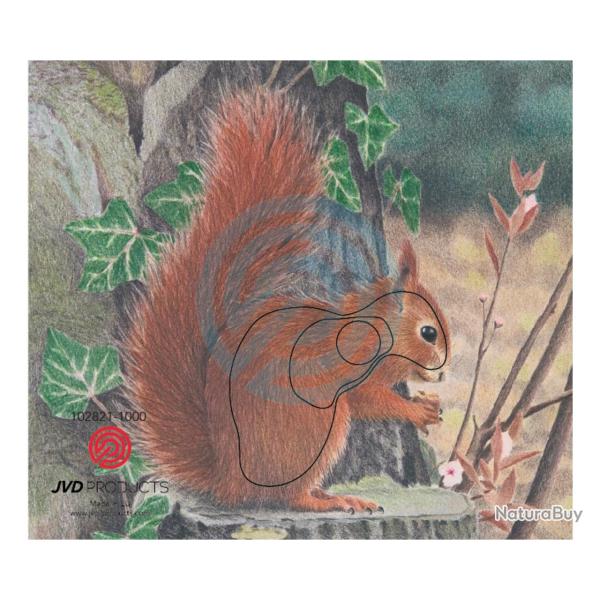 Blason JVD �cureuil