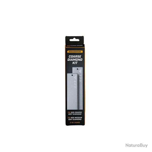 AI WS5291 Lot de deux plaques diamantes 320 et 400 pour Precision Adjust Pro