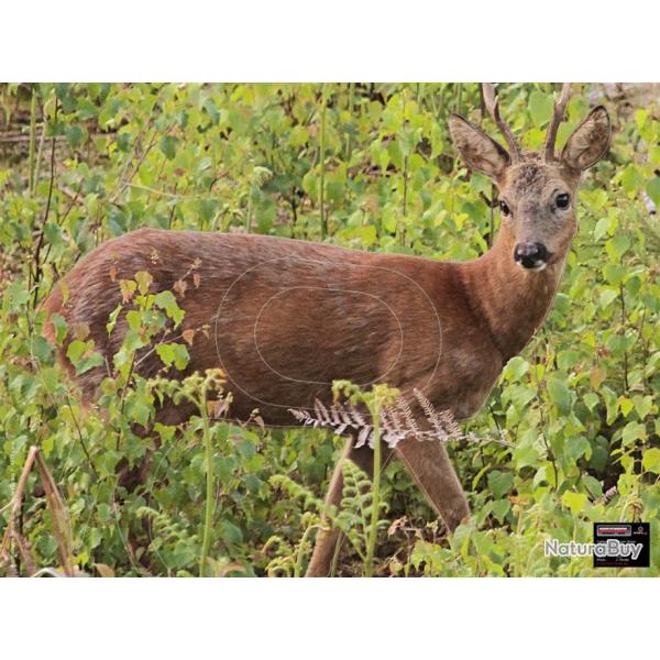 BLASON PHOTO 54x80 CHEVREUIL - par 5