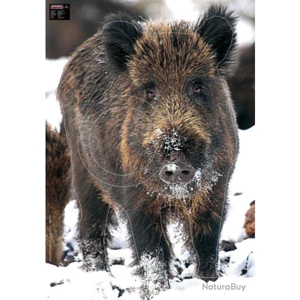 BLASON PHOTO 70x100 SANGLIER DANS LA NEIGE - par 2
