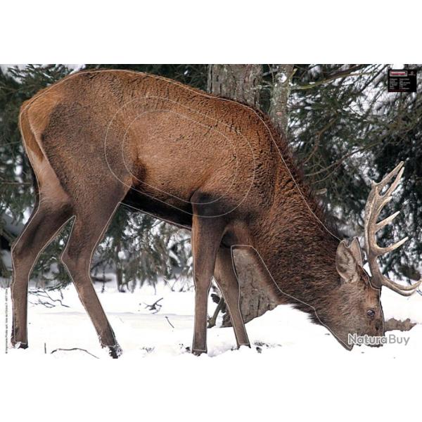 BLASON PHOTO 70x100 CERF dans la neige - par 2