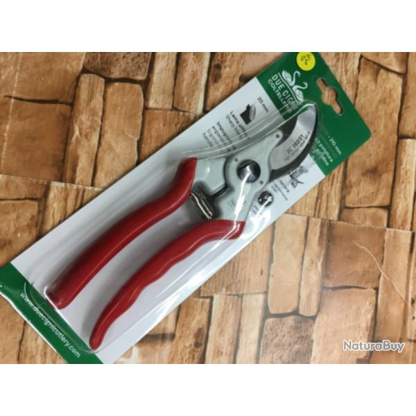 Scateur professionnel DUE CIGNI 382/21