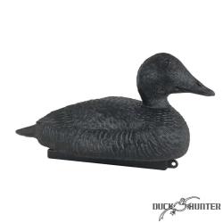 Forme d'eider noire magnum moussée