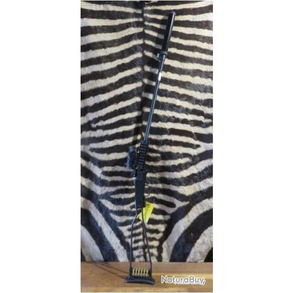 Pack carabine pliante CHIAPPA Little Badger cal.22lr + point rouge RTI + silencieux