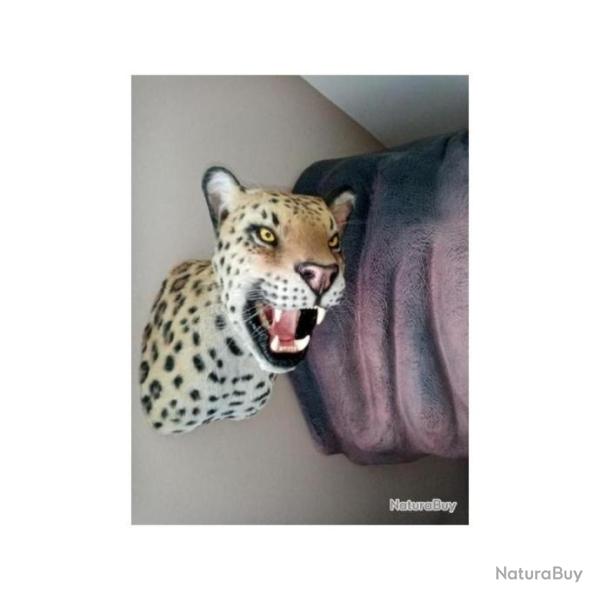 troph�e factice r�plique taxidermie panth�re l�pard