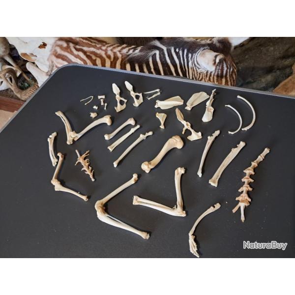 Lot de curiosits diverses #E1