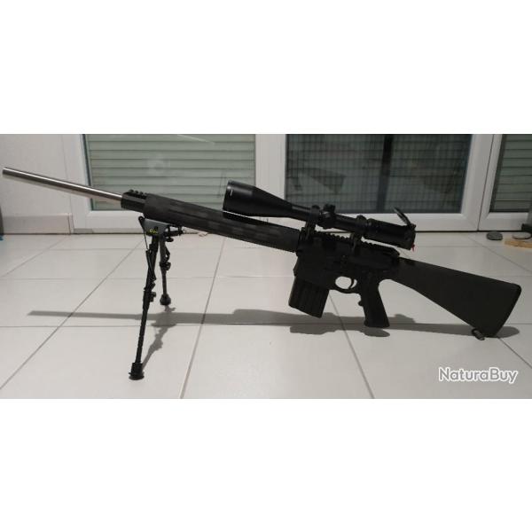 Carabine DPMS calibre 308 W