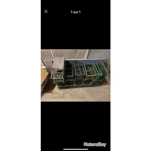 16 cage a grive quelques une � r�parer + porte cage a r�cup�r� sur place � Marseille pas exp�dition
