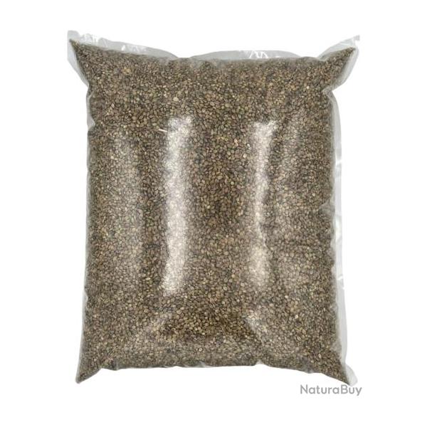 SPORTSHOP GRAINES CRAZY CHENEVIS SPORTSHOP 3kg