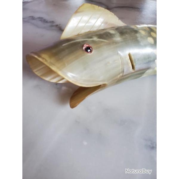 Corne de vache en poisson en excellent �tat